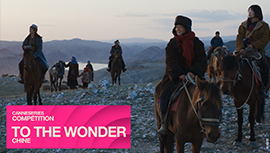 TO THE WONDER